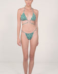 Subash Bikini Bottom Lathyrus Malacite